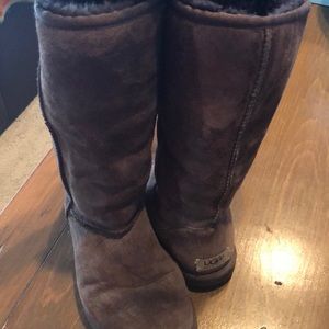 Chocolate High Ugg Boots